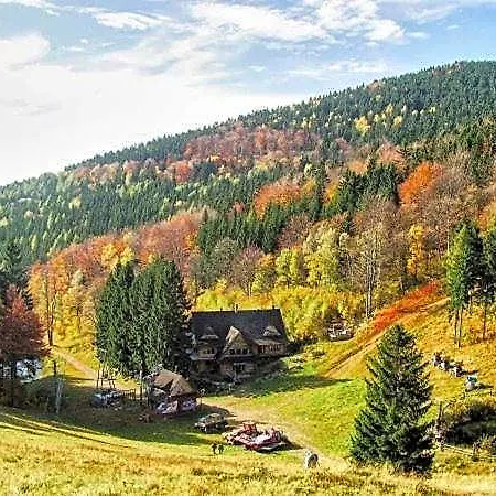 Hotel Schronisko Bukowa *